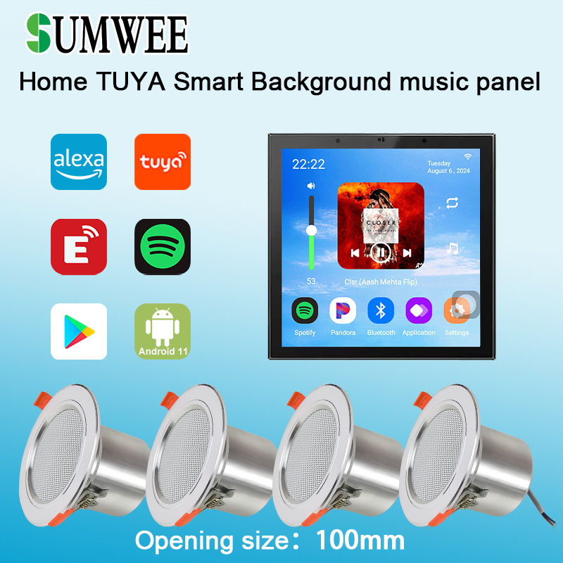 4 Inch Android 11 Tuya Smart H - Audio Music Background Free recensie en prijs