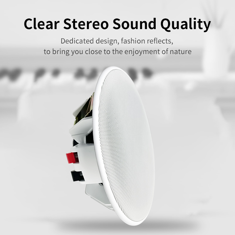 6 Inch 8ohm Ceiling Speaker Fu - Audio Music Background Free recensie en prijs