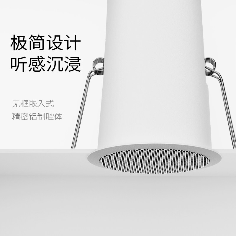 Ceiling audio, embedded speake - Audio Music Store recensie en prijs