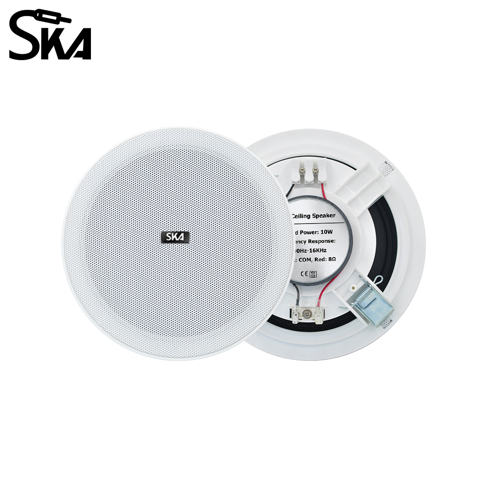6.5-inch 20W， 8ΩDual cone spea - Audio Music Store recensie en prijs
