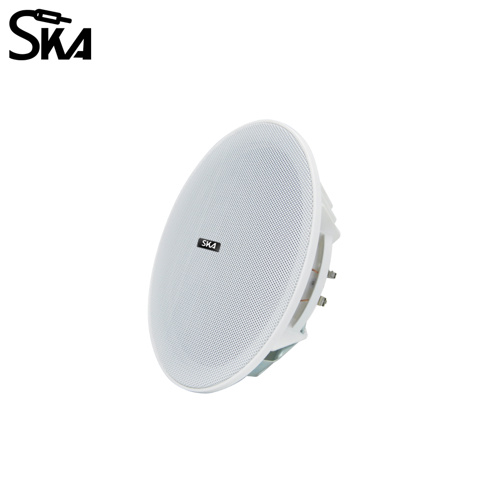 6.5-inch 20W， 8ΩDual cone spea - Audio Music Store recensie en prijs