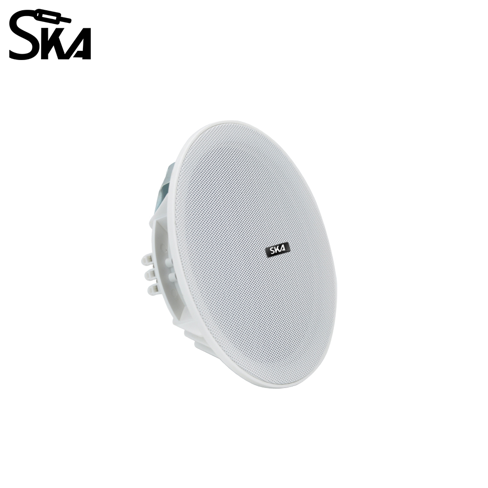 6.5-inch 20W， 8ΩDual cone spea - Audio Music Store recensie en prijs