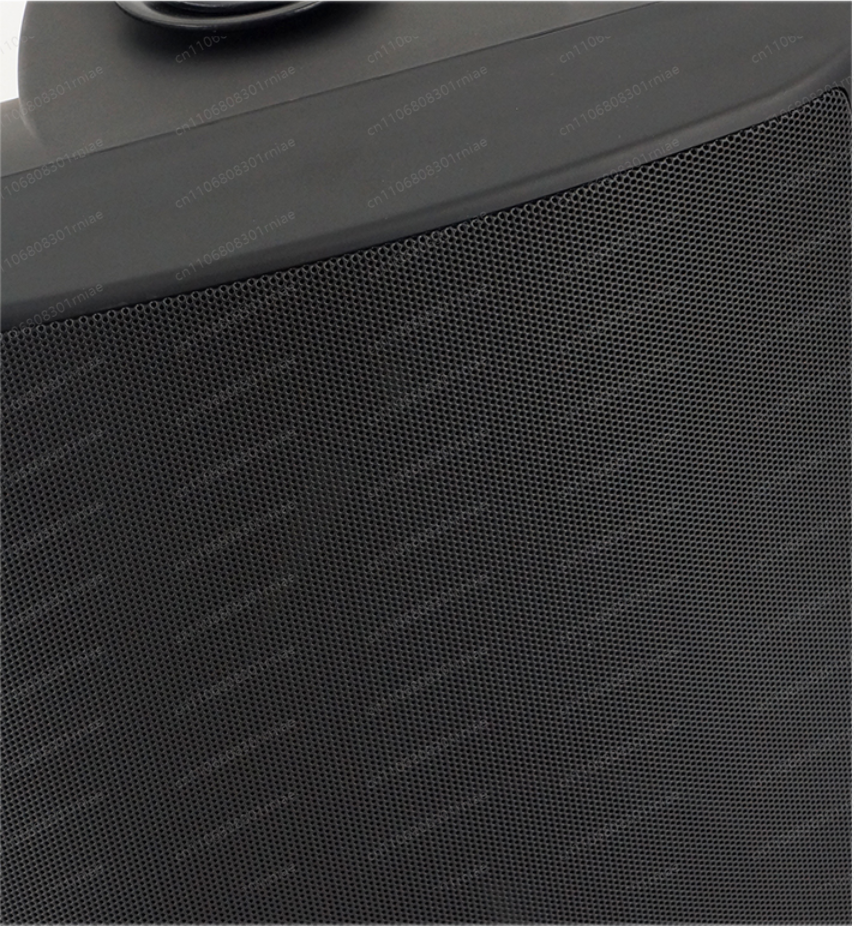 Hot-selling wall-mounted audio - Audio Music Store recensie en prijs
