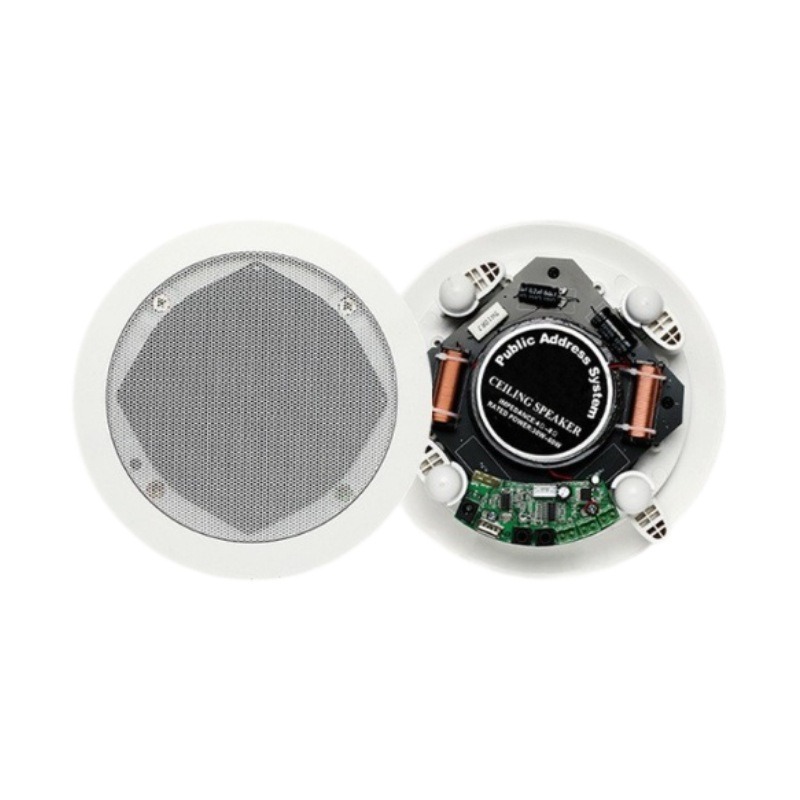 Coaxial Bluetooth Ceiling Spea - Audio Music Store recensie en prijs