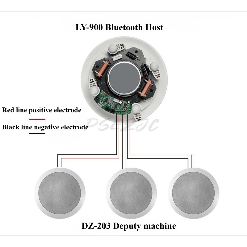 Coaxial Bluetooth Ceiling Spea - Audio Music Store recensie en prijs