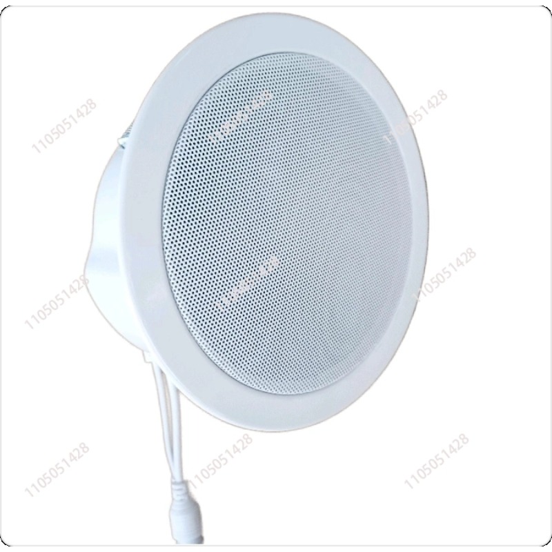 IP network speaker, ceiling au - Audio Music Store recensie en prijs