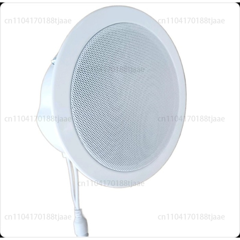IP Network Speaker, Ceiling Au - Audio Music Store recensie en prijs