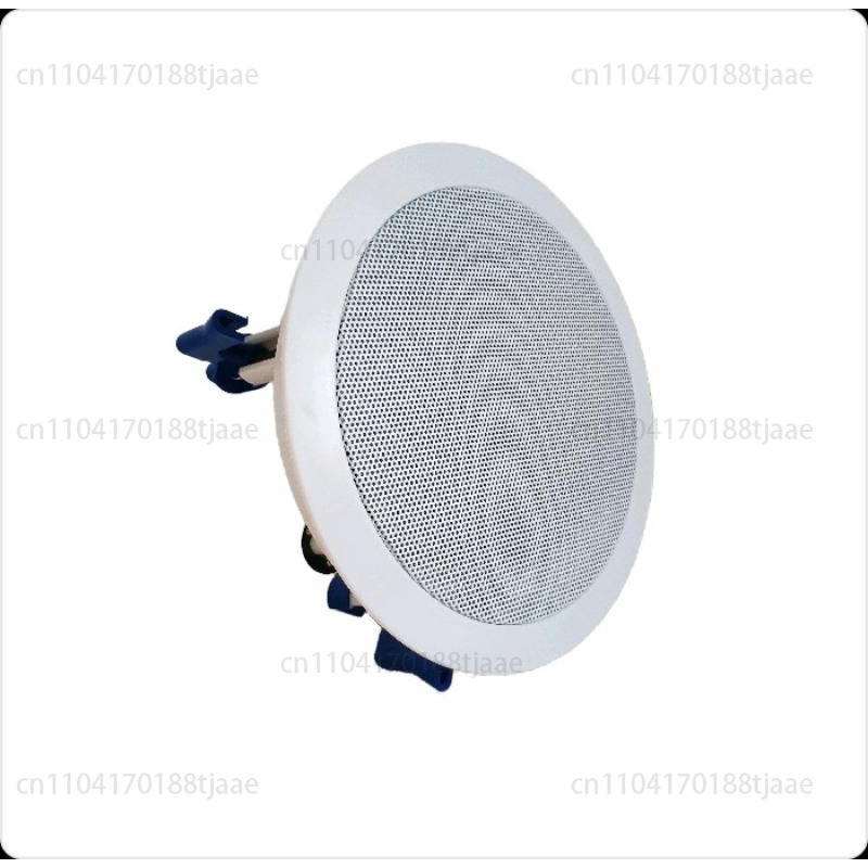 IP Network Speaker, Ceiling Au - Audio Music Store recensie en prijs