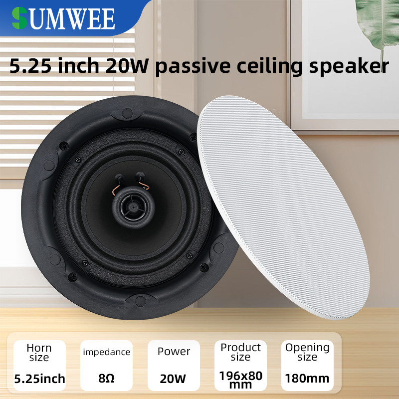 5.25 inch 8 ohm Ceiling Speake - Audio Music Background Free recensie en prijs
