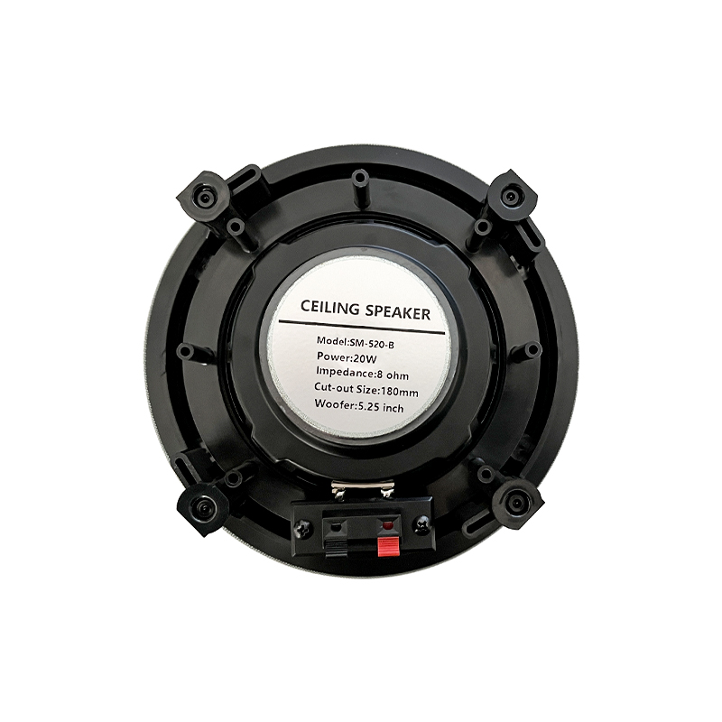 5.25 inch 8 ohm Ceiling Speake - Audio Music Background Free recensie en prijs