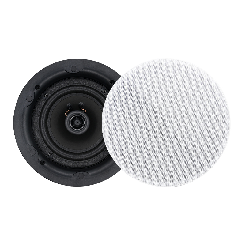 5.25 inch 8 ohm Ceiling Speake - Audio Music Background Free recensie en prijs