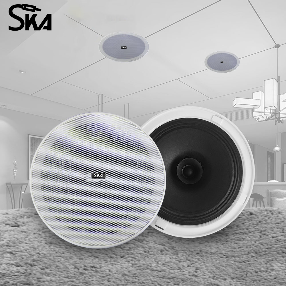 6.5-inch 12W 8Ω Dual cone spea - Audio Music Store recensie en prijs