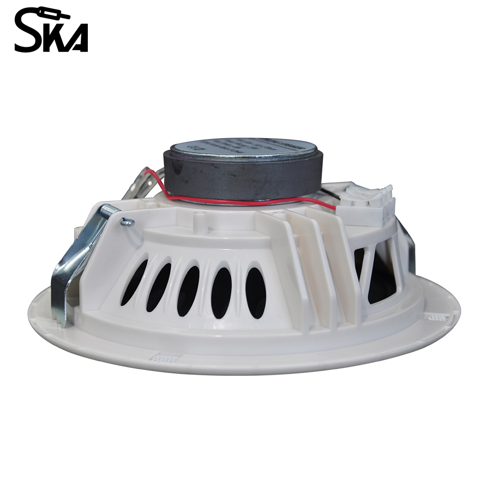 6.5-inch 12W 8Ω Dual cone spea - Audio Music Store recensie en prijs