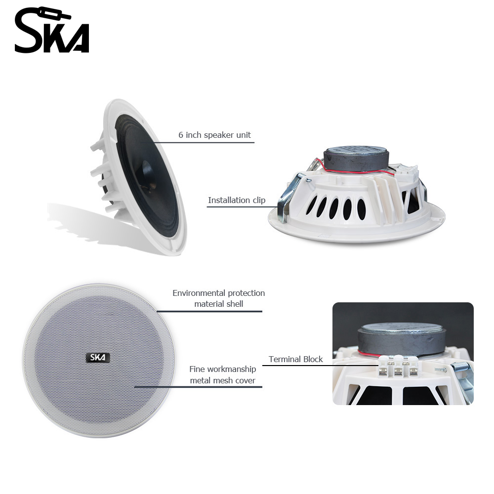 6.5-inch 12W 8Ω Dual cone spea - Audio Music Store recensie en prijs