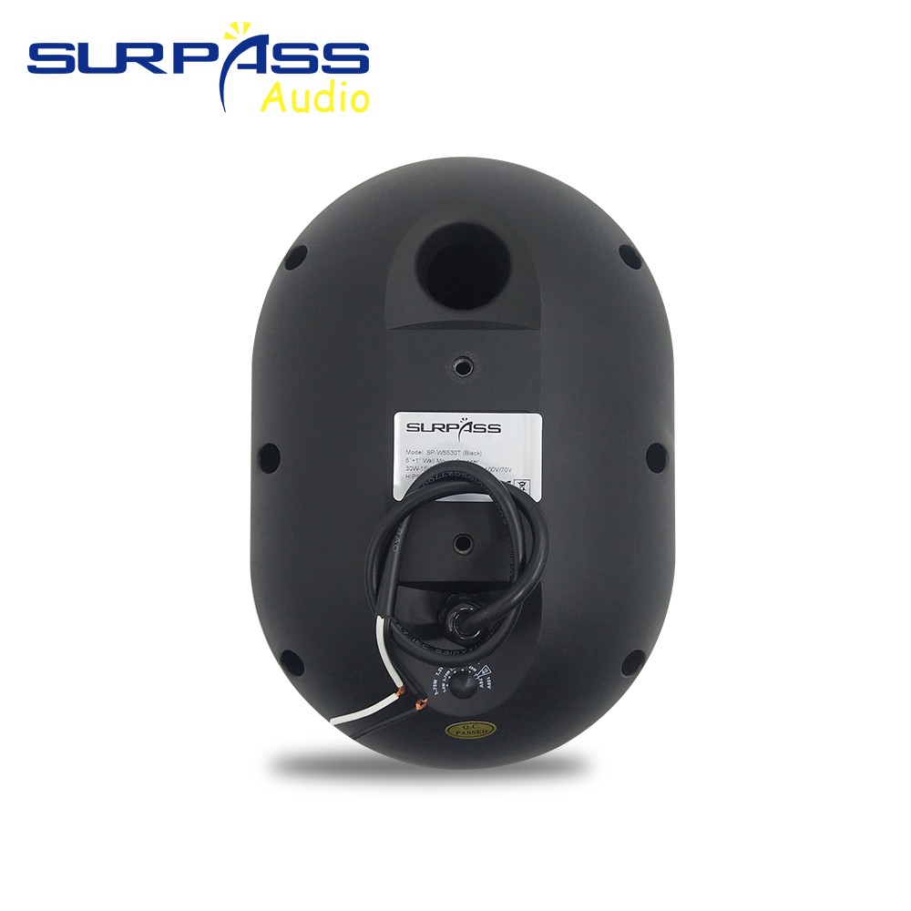 30W Wall-mounted Speaker Water - Audio Music Background Free recensie en prijs