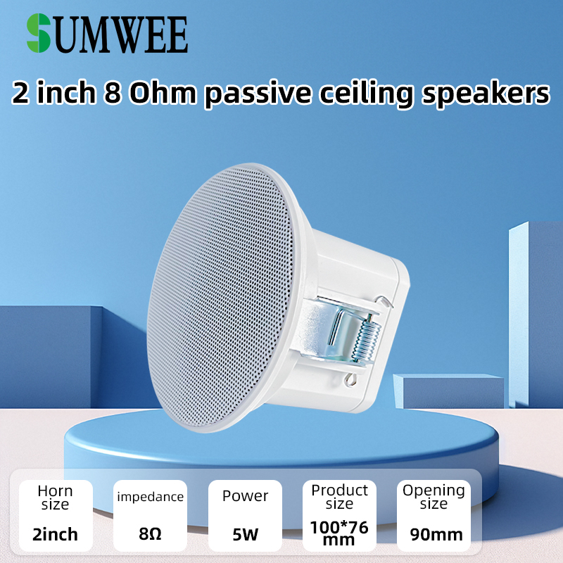 2Inch Mini 8 Ohm Ceiling Speak - Audio Music Background Free recensie en prijs
