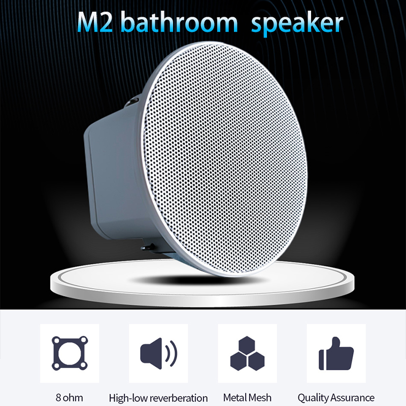 2Inch Mini 8 Ohm Ceiling Speak - Audio Music Background Free recensie en prijs